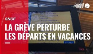 VIDÉO. SNCF : la grève perturbe les départs en vacances 