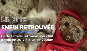 Cette famille azuréenne a retrouvé son chat perdu en 2017 à plus de 700km du lieu de sa disparition