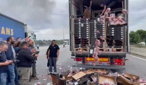 Pyrénées-Orientales : les viticulteurs en colère vident un camion de tomates venu d'Espagne