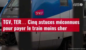VIDÉO. TGV, TER… Cinq astuces méconnues pour payer le train moins cher