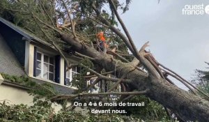 VIDÉO. À Trébeurden, le quartier de Lan-Kerellec a pris de plein fouet la tempête Ciaran