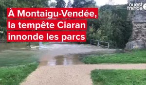 VIDEO. Tempête Ciaran : des parcs inondés à Montaigu-Vendée