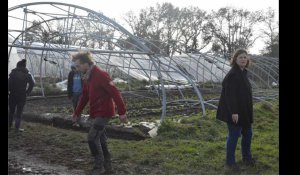VIDÉO. Tempête Ciaran à Quimper : plusieurs dizaines de milliers d’euros de dégâts aux Maraîchers de la Coudraie