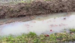 Houplines : la rue Brune inondée