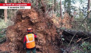 VIDÉO. Lors de la Tempête Domingos, une tornade a balayé une forêt près d’Angers : « Jamais vu ça »