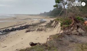 VIDEO. Tempête Ciaran : dans la Manche, le havre de la Vanlée a encore souffert