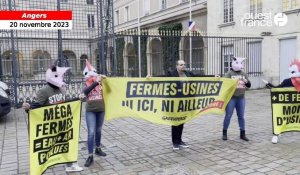 VIDÉO. « Des fermes, pas des usines » : Opération matinale de Greenpeace à Angers 
