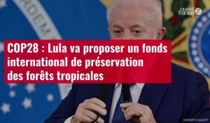 VIDÉO. COP28 : Lula va proposer un fonds international de préservation des forêts tropical