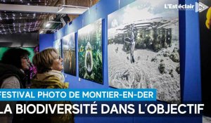 La biodiversité dans l’objectif du Festival photo de Montier-en-Der