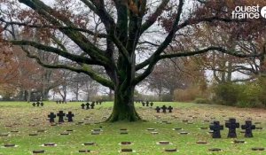 VIDÉO. Plus de 11 000 soldats allemands tués en Normandie reposent au cimetière militaire de Marigny
