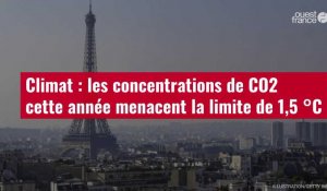 VIDÉO. Climat : les concentrations de CO2 cette année menacent la limite de 1,5 °C