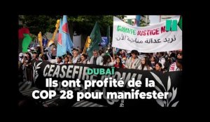 Des manifestants réclament un cessez-le-feu et la justice climatique en pleine COP 28