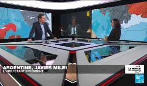 Argentine : Javier Milei, l'ovni politique devenu président