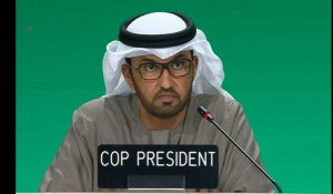 "Nous faisons des progrès, mais pas assez vite", regrette le président de la COP28