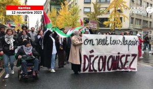 VIDEO. Mobilisation pour la Palestine : près de 1000 personnes dans la rue à Nantes