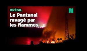 Au Brésil, la plus grande zone humide du monde brûle