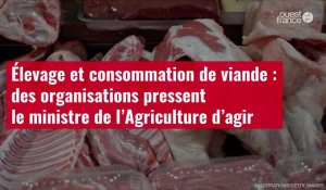 VIDÉO.Élevage et consommation de viande : des organisations pressent le ministre de l’Agriculture 