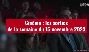 VIDÉO. Cinéma : les sorties de la semaine du 15 novembre 2023