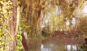 Près de Saint-Omer : les images impressionnantes du marais audomarois totalement inondées