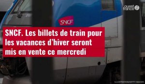 VIDÉO. SNCF. Les billets de train pour les vacances d’hiver seront mis en vente ce mercredi
