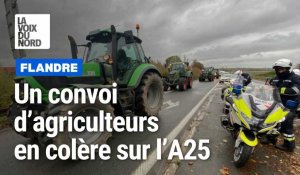 Des agriculteurs en colère en tracteur sur l’A25