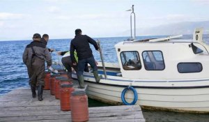 Le long combat pour préserver la précieuse truite du lac d'Ohrid