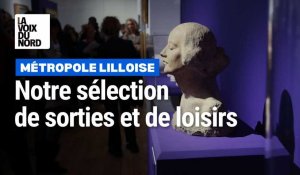 Métropole lilloise : notre sélection de sorties du 20 au 26 novembre