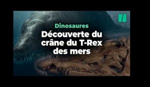 Ce « T-Rex des mers » découvert en Angleterre était une machine à tuer