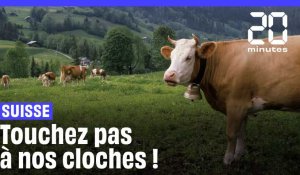 Suisse : Les vaches suisses sont priées d'arrêter de faire du bruit avec leur grosse cloche 