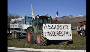 Pyrénées-Orientales - Les éleveurs font tout un foin pour sauver leurs bêtes