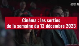 VIDÉO. « Les Trois Mousquetaires : Milady », « Wonka », les sorties cinéma de la semaine du 13 décembre 2023