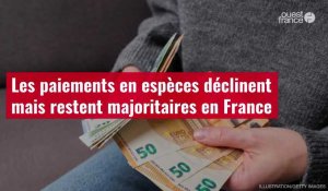 VIDÉO. Les paiements en espèces déclinent mais restent majoritaires en France