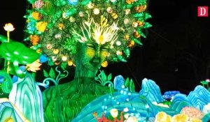 Tarn-et-Garonne : Inauguration du Festival des Lanternes de Montauban