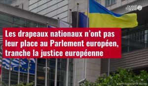 VIDÉO. Les drapeaux nationaux n’ont pas leur place au Parlement européen, tranche la justice europée