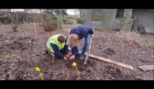 Les élèves horticulteurs de l’EREA plantent 1 000 arbres 