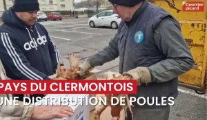 Une distribution de poules samedi 13 janvier au Pays du Clermontois