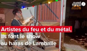 VIDEO. Artistes du feu et du métal, ils font le show au haras de Lamballe 