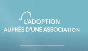 Mon Meilleur Ami : L'adoption auprès d'une association