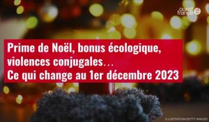 VIDÉO. Prime de Noël, bonus écologique, violences conjugales… Ce qui change au 1er décembre 2023