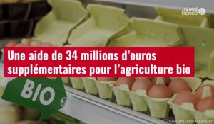 VIDÉO. Une aide de 34 millions d’euros supplémentaires pour l’agriculture bio