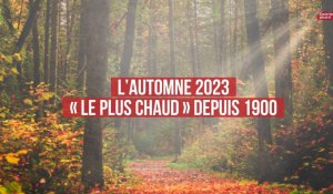 L’automne 2023 « le plus chaud » depuis 1900