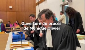 Me Delgenès et Me Seban s'expriment avant l'ouverture du procès de Monique Olivier aux assises