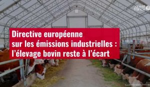 VIDÉO. Directive européenne sur les émissions industrielles : l’élevage bovin reste à l’élevage bovi