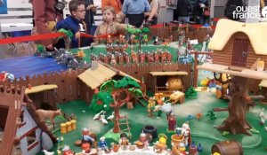 VIDÉO. Sorciers ou dinosaures : 3 000 Playmobil installés à Ploërmel à l'exposition PlaymoBreizh