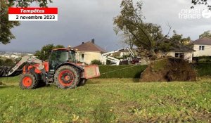 VIDÉO. Tempête Ciaran : un arbre tombe sur la toiture d’une maison près de l’IUT de Vire Normandie 