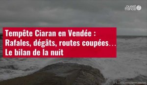 VIDÉO.Tempête Ciaran en Vendée : Rafales, dégâts, routes coupées… Le bilan de la nuit