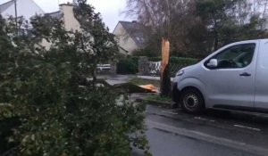 VIDÉO. Tempête Ciaran : un arbre éventré sur la route paralyse la circulation entre Brec’h et Auray