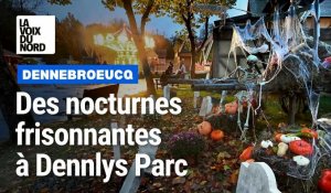 Dennebroeucq : Dennlys parc aux couleurs d'Halloween