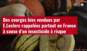 VIDÉO.Des courges bios vendues par E.Leclerc rappelées partout en France à cause d’un insecticide 
