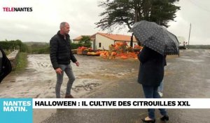 JT du Vendredi 27 octobre : l'aéroport Nantes-Atlantique mais aussi un agriculteur fan de citrouilles géantes